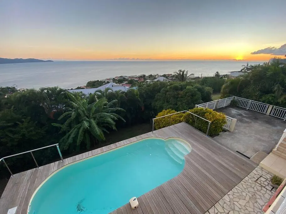 Magnifique Villa Collinos Avec Piscine Et Jardin Schoelcher